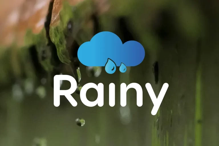 Rainy logo